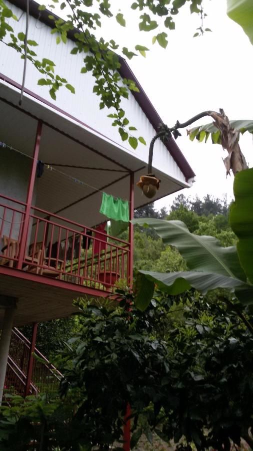 Гостевой дом Guest House Karina Пицунда-37