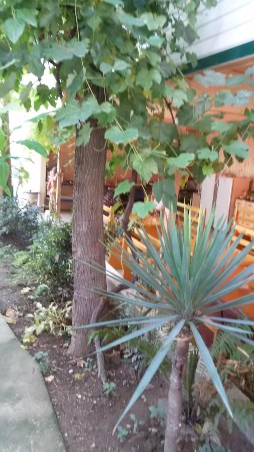 Гостевой дом Guest House Karina Пицунда-40