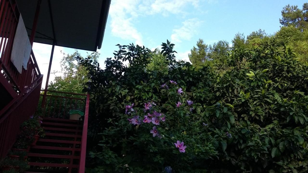 Гостевой дом Guest House Karina Пицунда-41