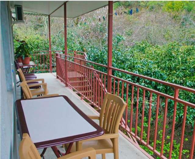 Гостевой дом Guest House Karina Пицунда-3
