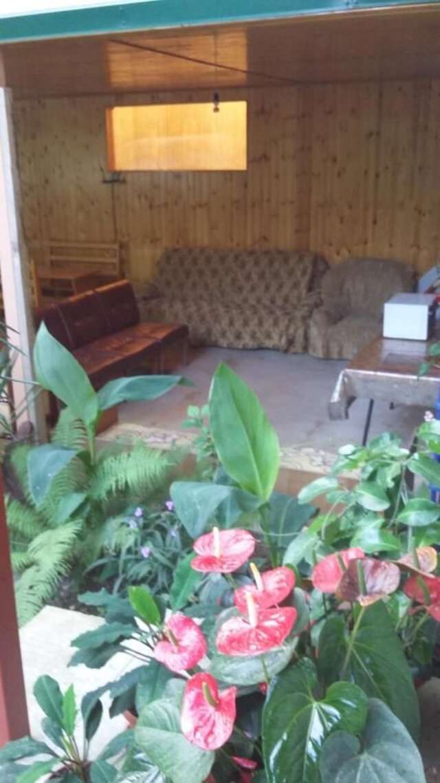 Гостевой дом Guest House Karina Пицунда-14