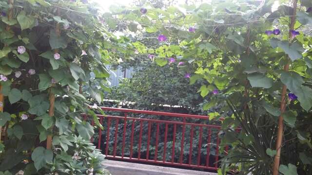 Гостевой дом Guest House Karina Пицунда-32