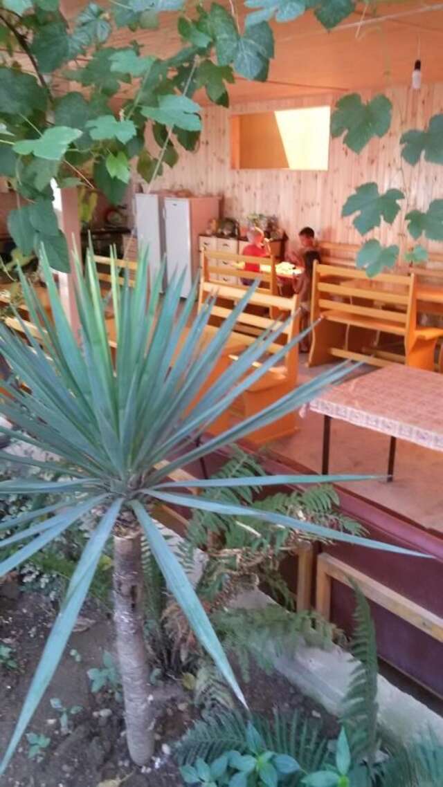 Гостевой дом Guest House Karina Пицунда-34