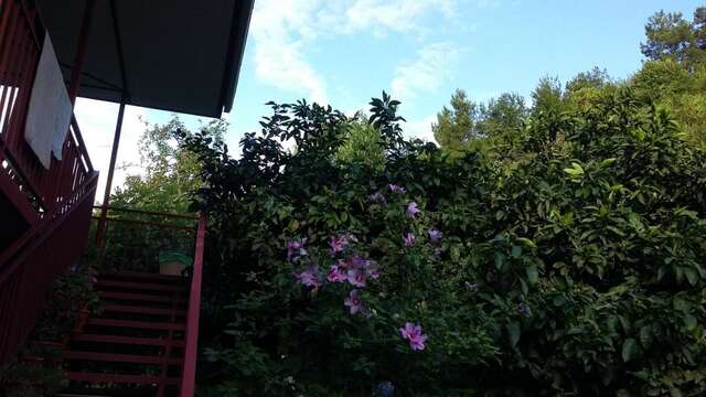 Гостевой дом Guest House Karina Пицунда-40