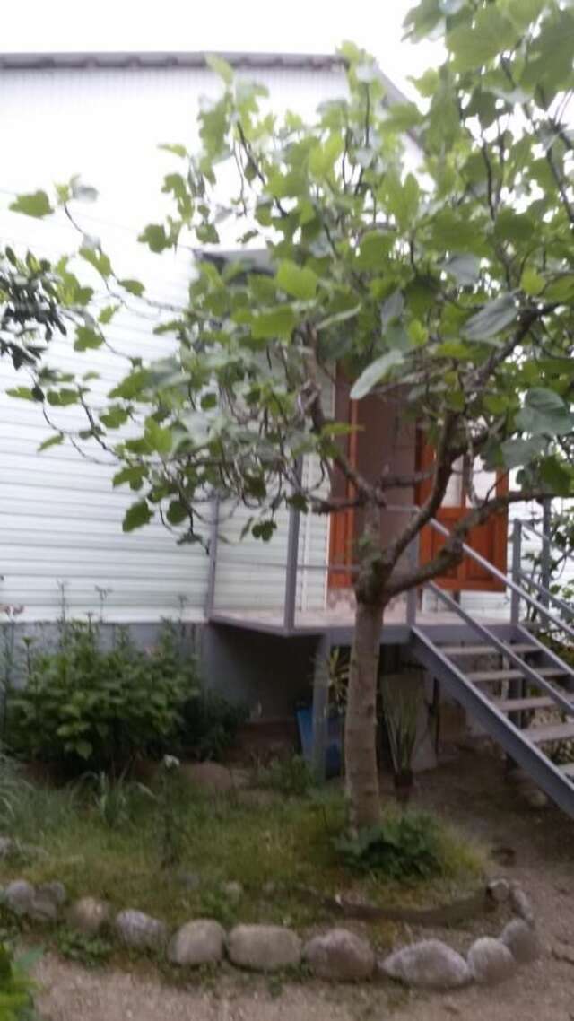 Гостевой дом Guest House Karina Пицунда-44